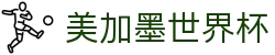 美加墨世界杯_2026世界杯 | 世界杯足球直播 - 2026 WORLD CUP